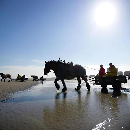 In Near The * Nieuwpoort