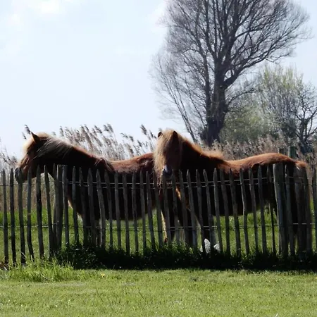 In Near The * Nieuwpoort
