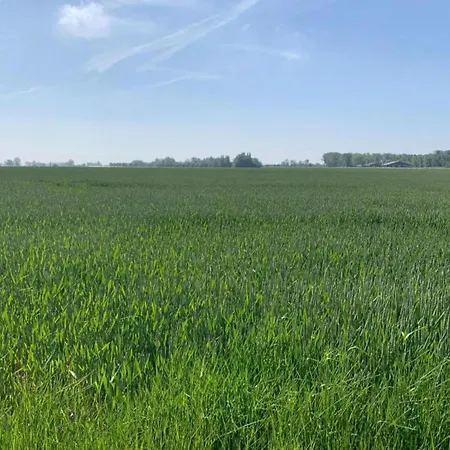 Διαμέρισμα In Near The