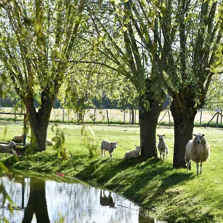 In Near The Διαμέρισμα *